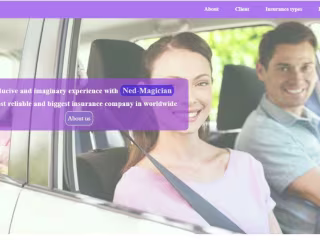 GitHub - Ned-Magician/Insurance