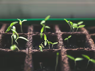 Fundraising Strategy for a Climate-Tech Company
