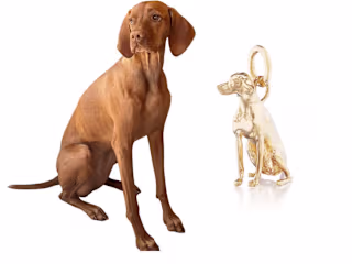 Dog Charms