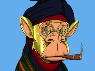 NFT COLLECTION (concept): ''Arewa'' Apes