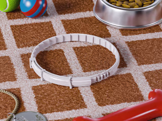 Dog Flea Collar on Behance