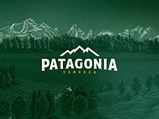 Patagonia: Concept Web Design
