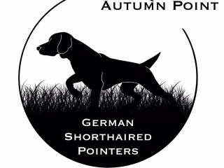 Autumn Point Logo