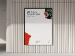 Ecotiendita Branding