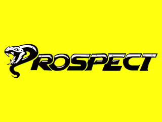 Prospect - Logo Design