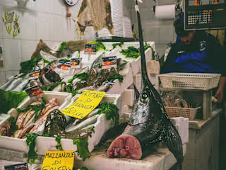 FisheryLink. B2B Fishery Market Place