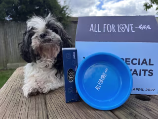 Pet Subscription Box 
