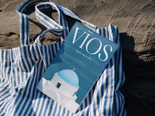 Custom web design | development for VIOS 