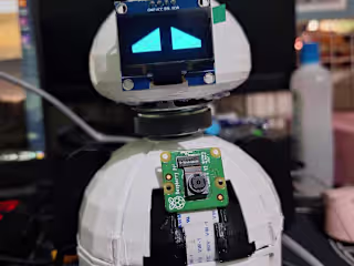 EmRo: A Raspberry-Pi Emotional Robot