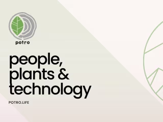 Potro company profile .pdf