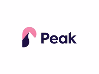 Custom Minimalist Business Logo Design 