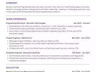 Executive Resume and Cover Letter for Chief Financial Officer (C