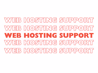 Web Hosting Support