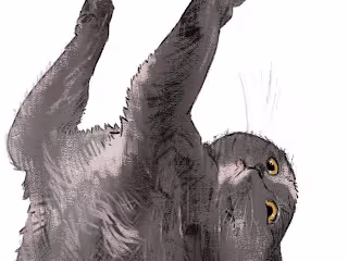 Character or animal illustration