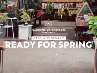 Gardens of Babylon IGTV Series