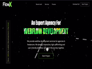 FlowX: An Expert Webflow Development Agency