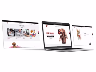 ECommerce Store for Dropshipping