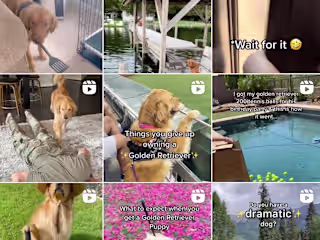 Pinterest and Instagram 