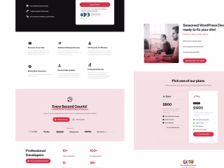 Landing Page Design with Elementor