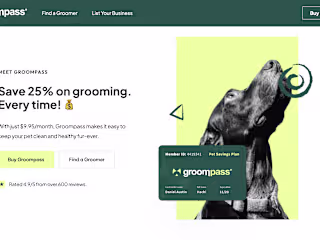 Developing a Custom Webflow Website
