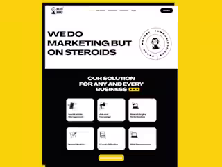 Brandmonkey Advertising Agency
(Design + Wix Development)