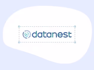 Datanest Case Study | What IF Web
