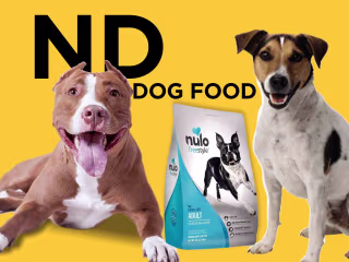 N D Dog Food