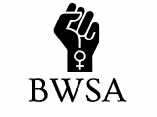 Black Women’s Studies Association
