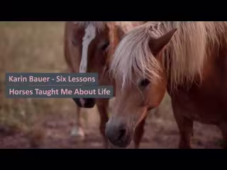 Medium article - Six Lessons Horses Taught Me About Life - YouT…