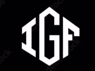 Logo design for software house