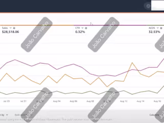 PPC Campaign Scaling & Growth Strategy