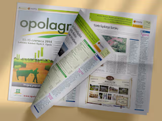 Newspapers and magazines designs. Developing and publishing