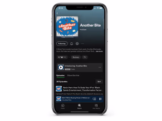Podcast Researcher & Copywriter | Another Bite Podcast