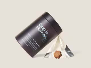 Dog is Human | Packaging