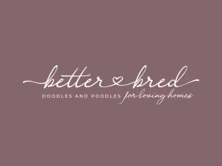 Chic & Feminine Brand Design + Strategy for Dog Breeder 