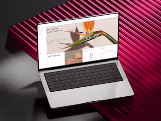 Delfina Delettrez website redesign