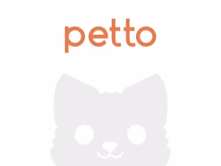 Petto