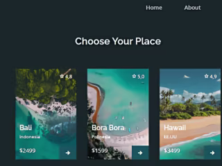 Travel Site