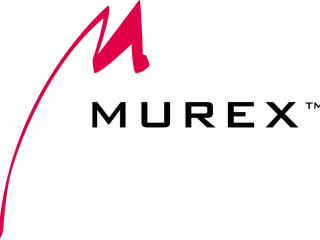 Senior Test Lead