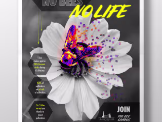 Ad Campaign - Save the Bees