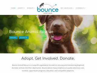 Website Design & Development - Non-Profit