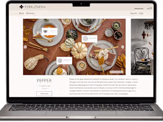 Flagship e-commerce website