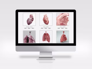 Organique E-com shop case study