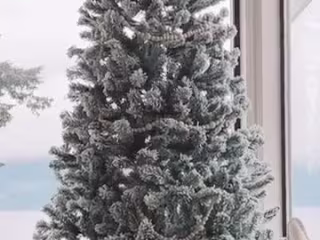 CAIT | CREATOR + UGC on Instagram: “Our new @kingofchristmas 7 …