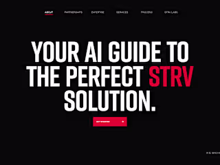 STRV - AI Lead Generation Chat Interface