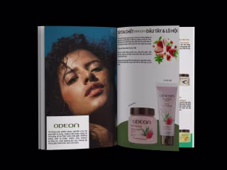 Editorial | Bindi catalog