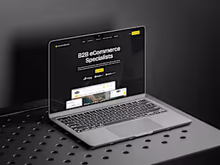 Human After All /  B2B eCommerce Agency Rebranding 💼​