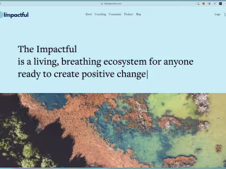 Community planning, launch, and growth strategy for Impactful