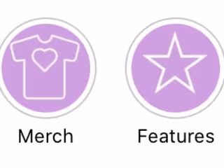 Instagram Story Highlights