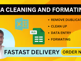 I will clean, format, and organize your messy data in excel 